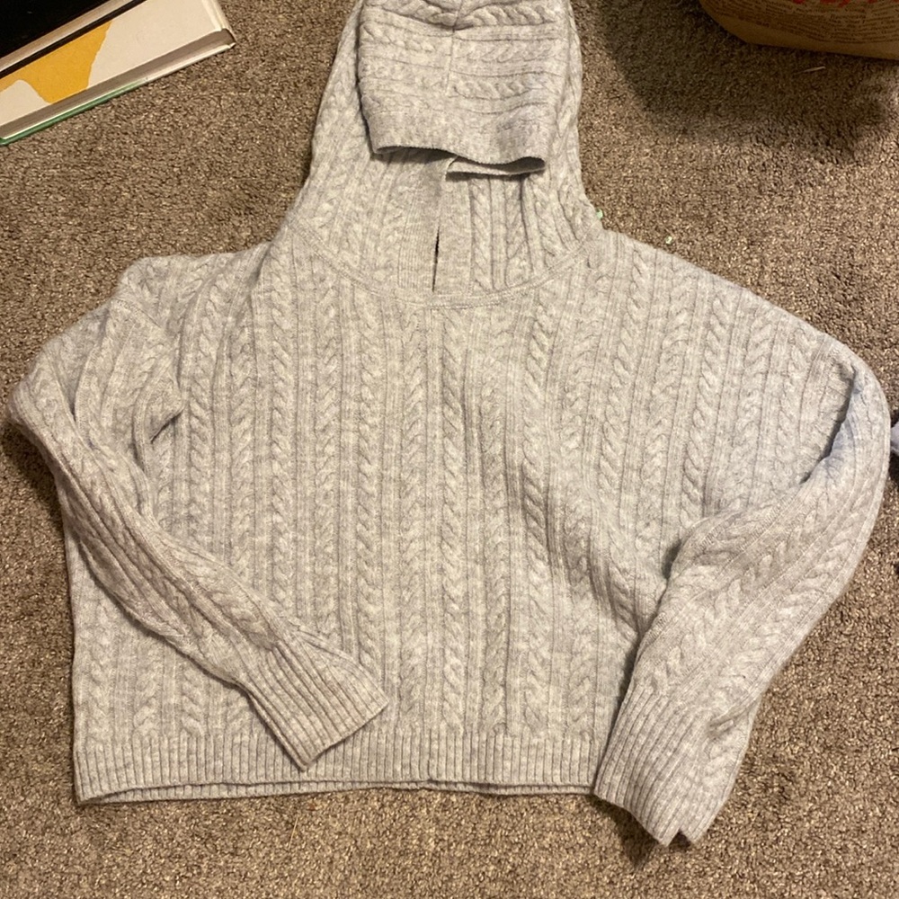 Cozy express sweater hoodie
